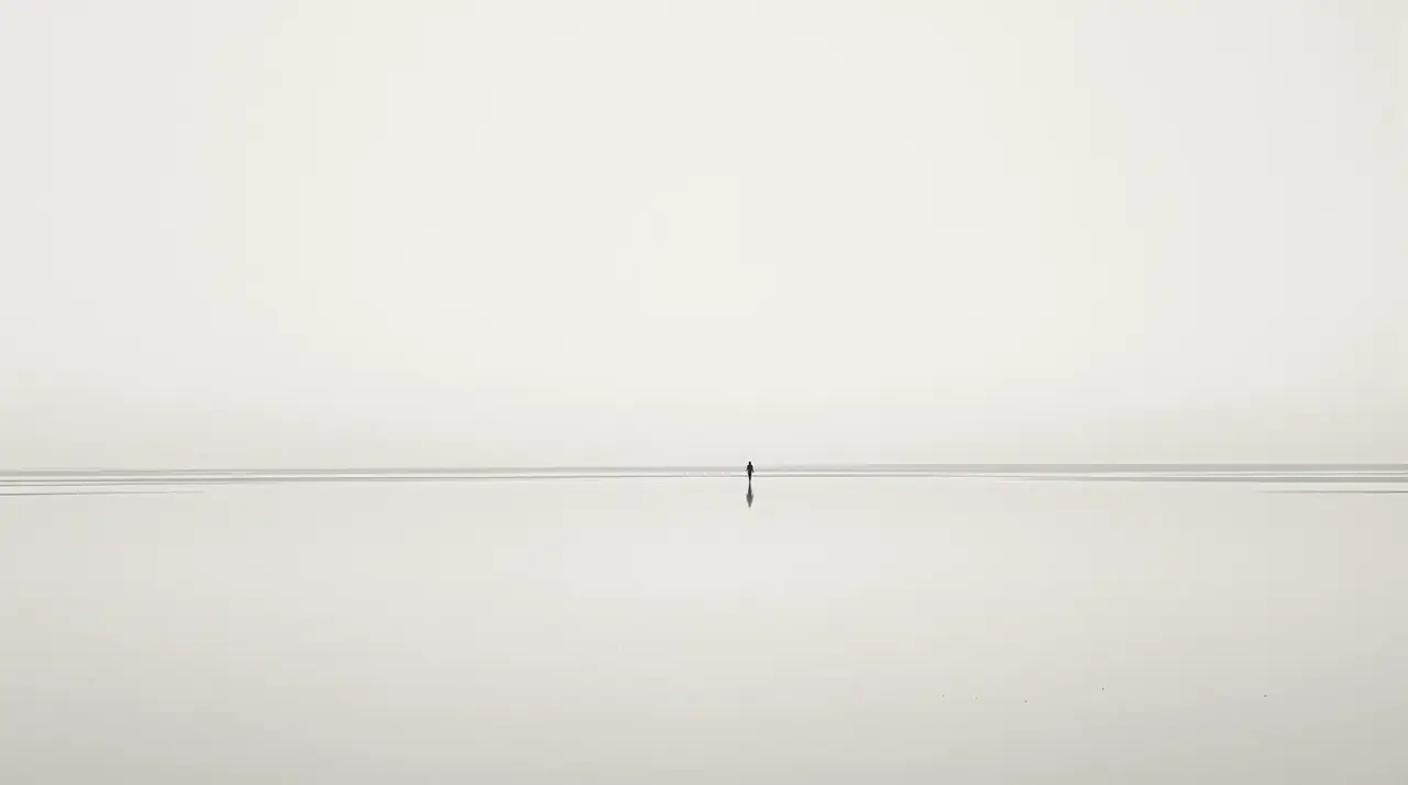 无风之地 详情背景